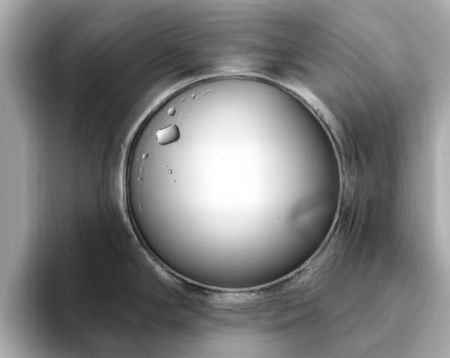 X0000094071294200710261239