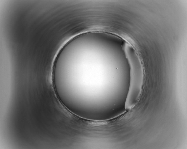 X0000094071296200710261239
