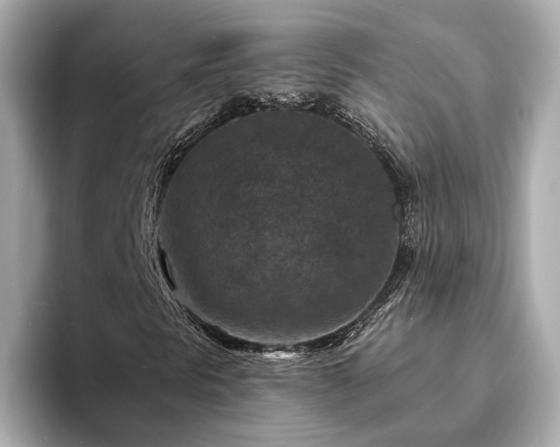 X0000094071297200710261238