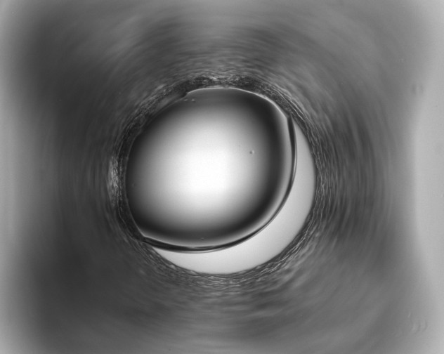 X0000094071298200710261238