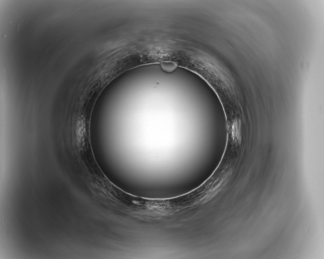 X0000094071299200710261238