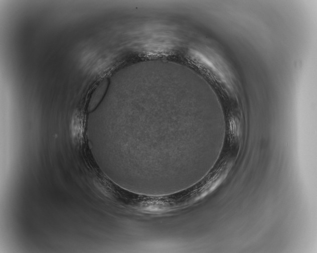 X0000094071300200710261238
