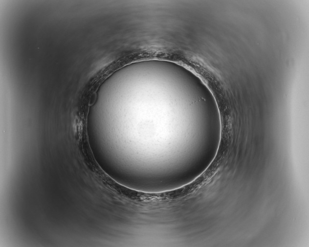 X0000094071302200710261238