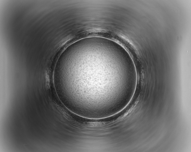 X0000094071305200710261238