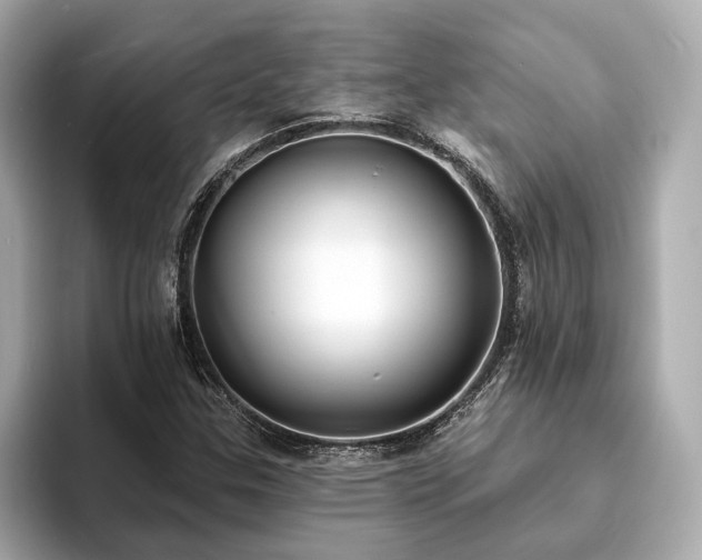 X0000094071307200710261238