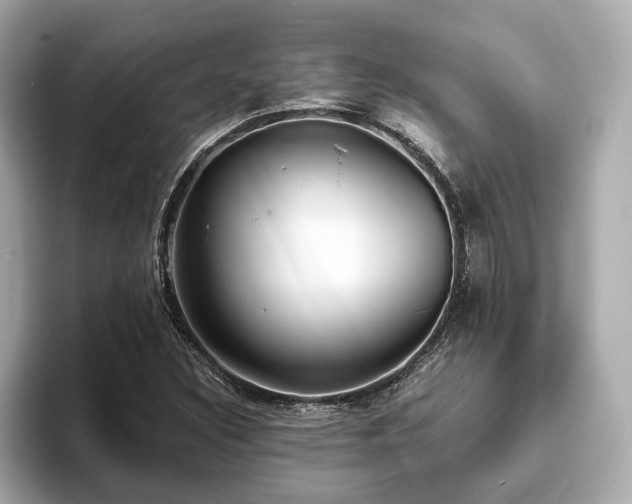X0000094071308200710261238