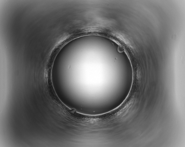 X0000094071309200710261238
