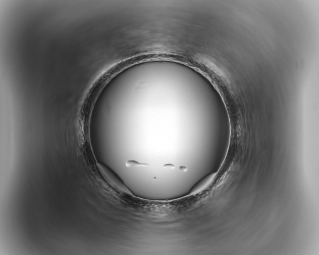 X0000094071310200710261238