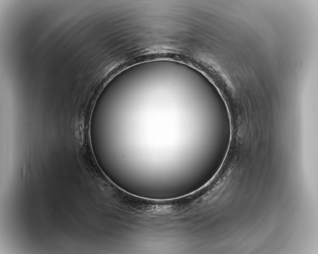 X0000094071313200710261238