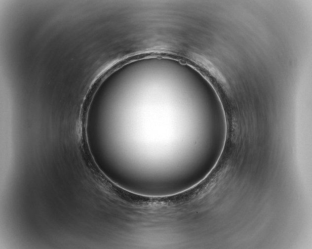 X0000094071316200710261238