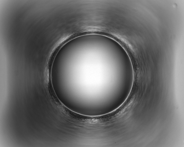 X0000094071317200710261238