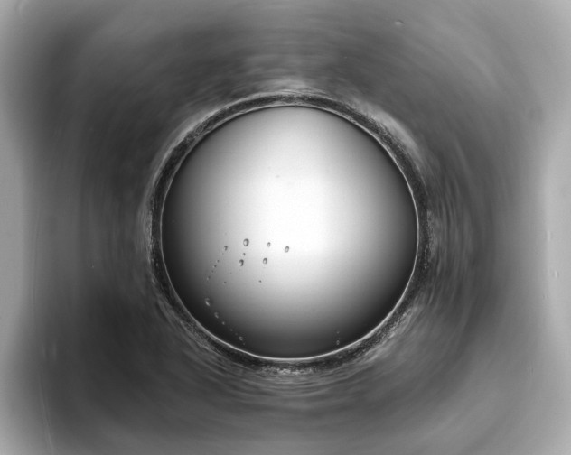 X0000094071318200710261238