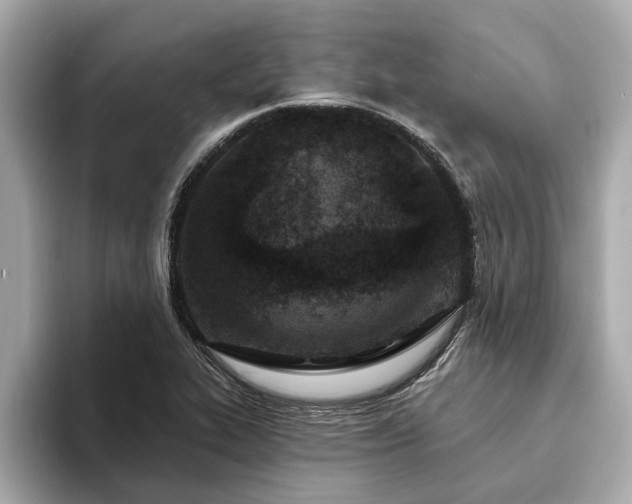 X0000094071319200710261238
