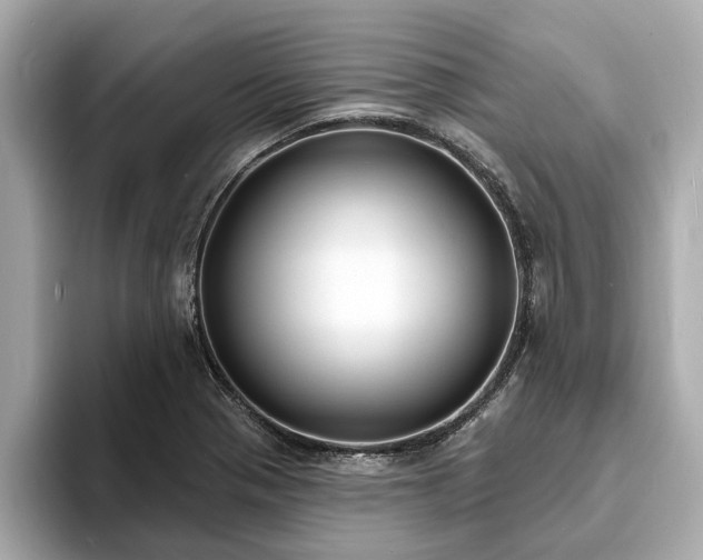 X0000094071321200710261238