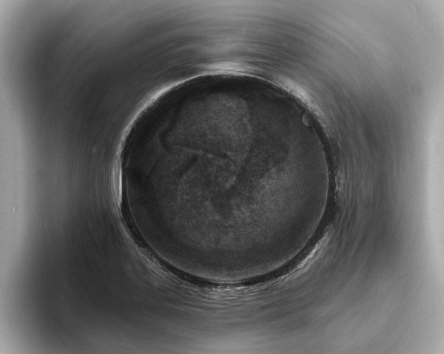 X0000094071323200710261238