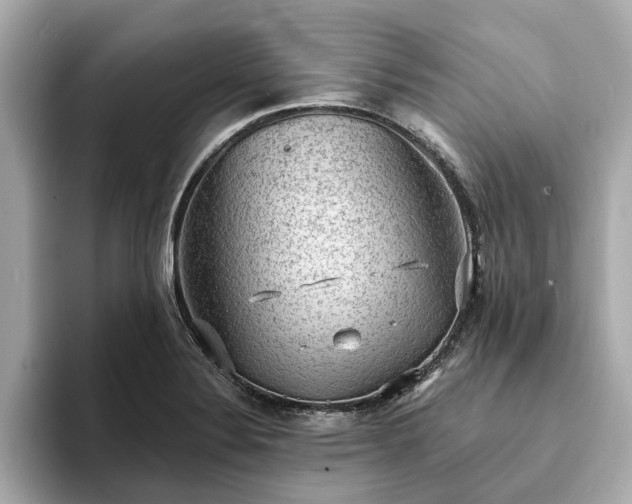 X0000094071324200710261238