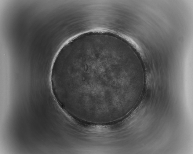 X0000094071327200710261238