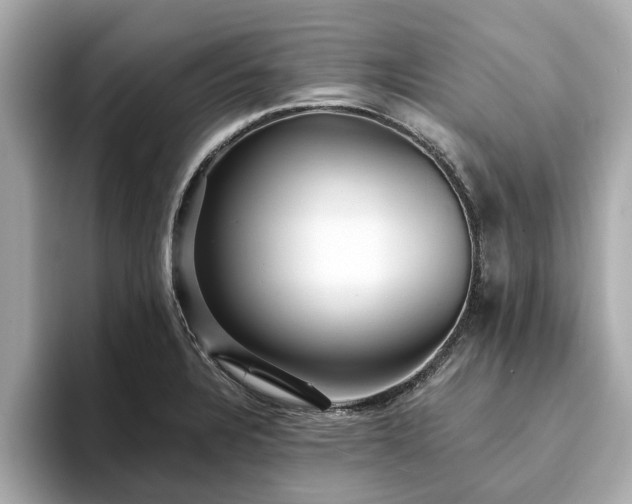 X0000094071328200710261238