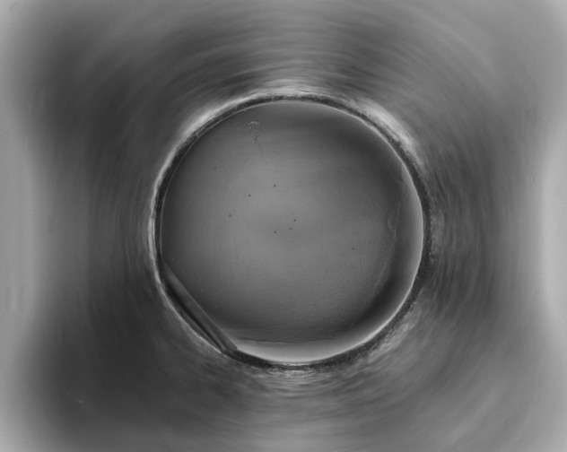X0000094071334200710261239