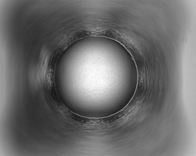 X0000094071346200710261238