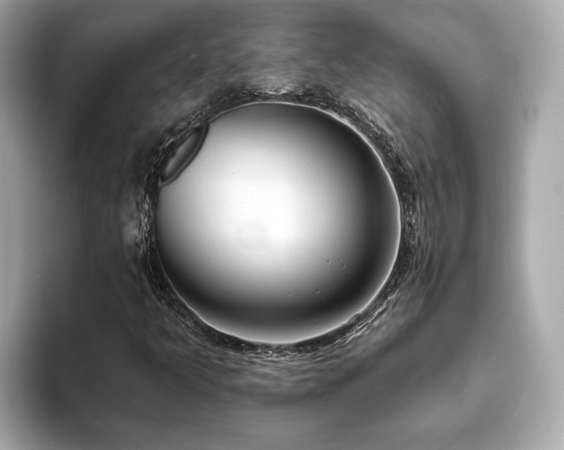 X0000094071349200710261238