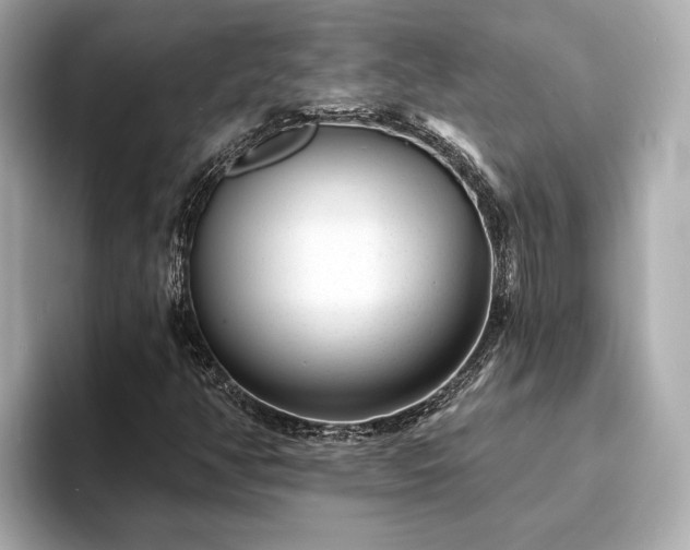 X0000094071350200710261238
