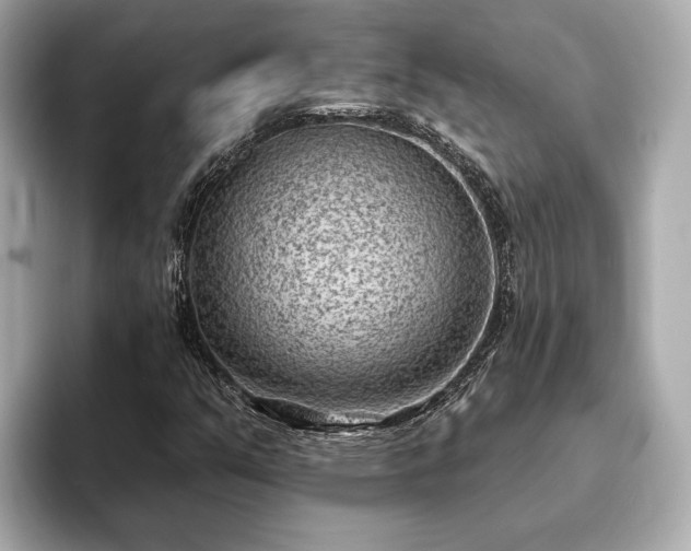 X0000094071351200710261238