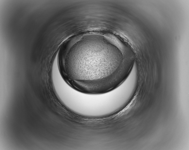 X0000094071353200710261238