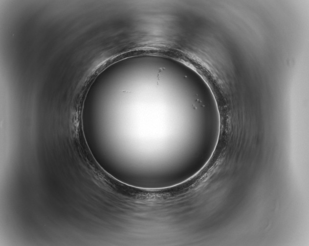 X0000094071355200710261238