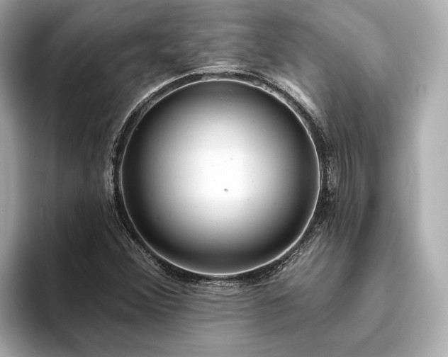 X0000094071356200710261238