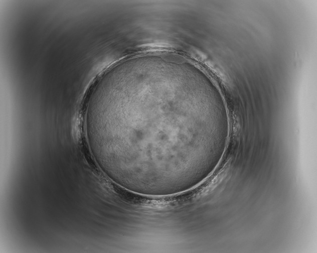 X0000094071357200710261238