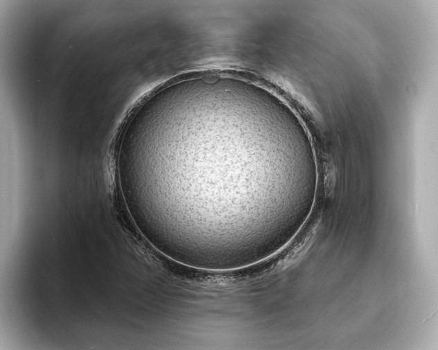 X0000094071358200710261238