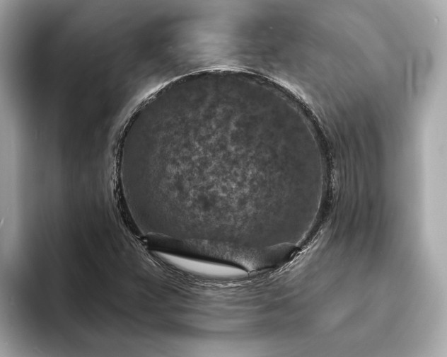 X0000094071359200710261238