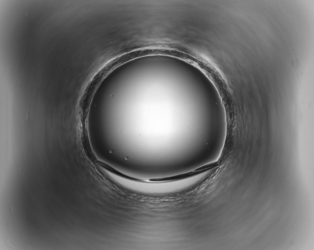 X0000094071360200710261238