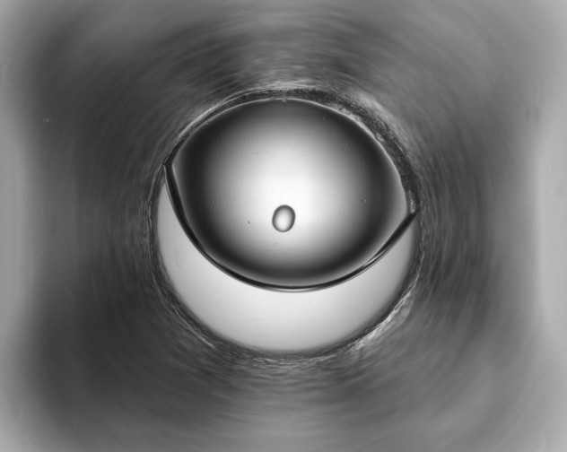 X0000094071361200710261238