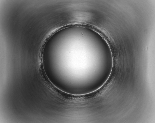 X0000094071363200710261238