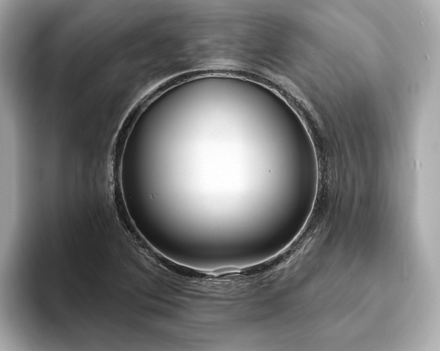 X0000094071364200710261238