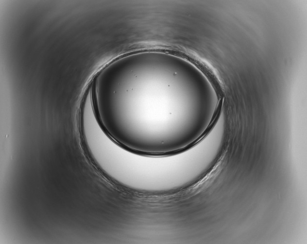 X0000094071365200710261238