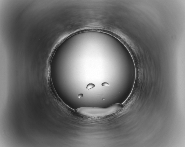 X0000094071366200710261238