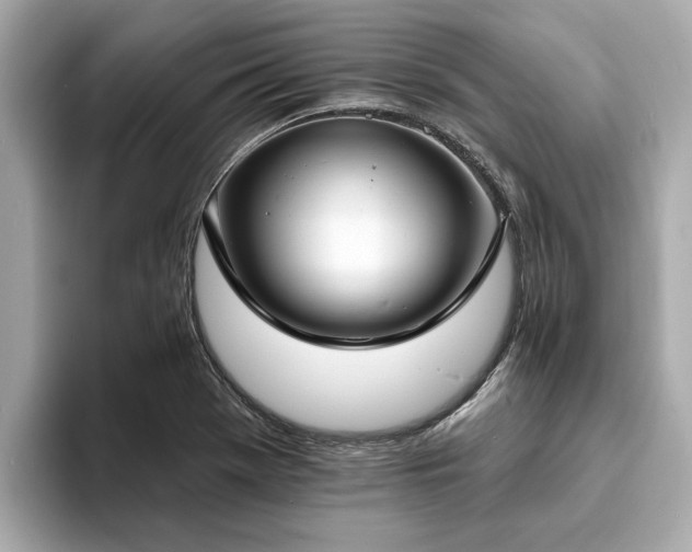 X0000094071369200710261238