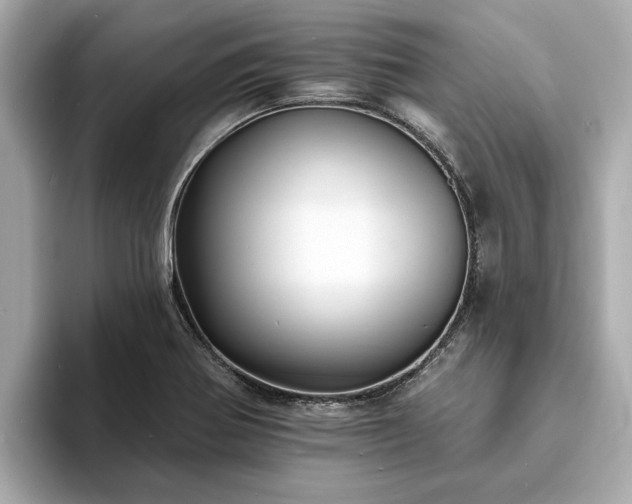 X0000094071370200710261238