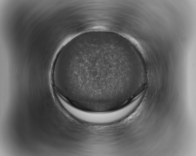 X0000094071373200710261238
