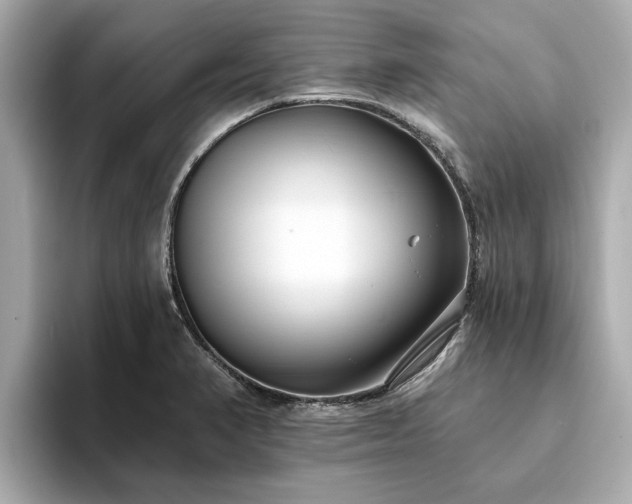 X0000094071374200710261238