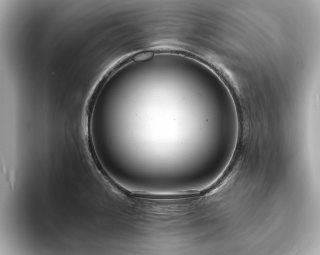 X0000094071376200710261238