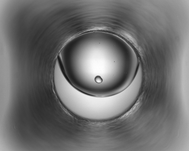 X0000094071377200710261238
