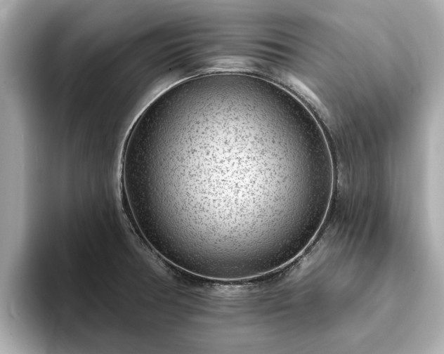 X0000094071378200710261238