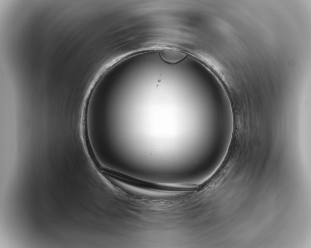 X0000094071379200710261238