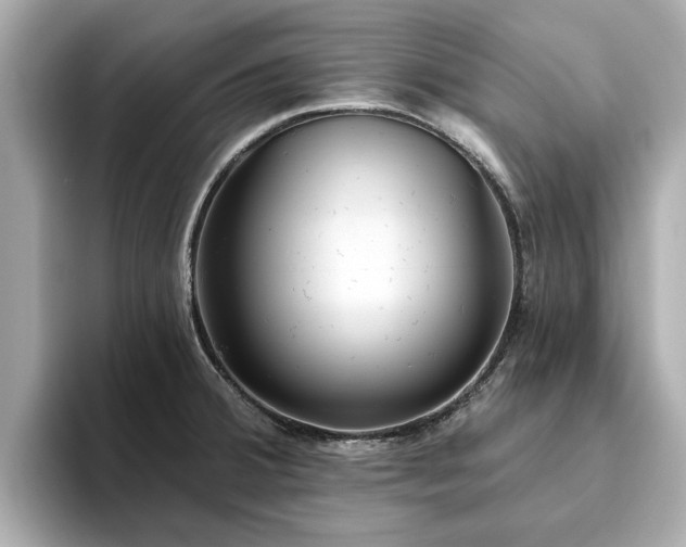 X0000094071380200710261238