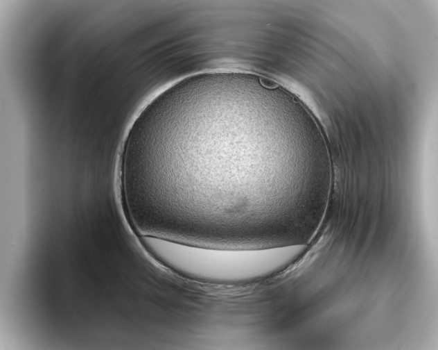 X0000094071387200710261237