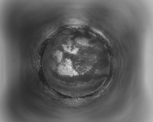X0000094071399200710261237